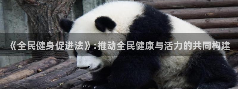 意昂2官方平台