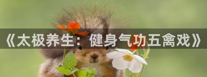 意昂2注册
