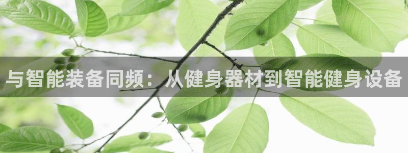 意昂2官方平台